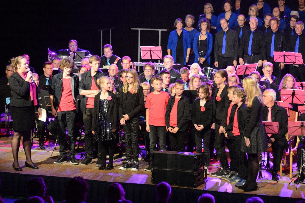 ../Images/Jubileumconcert 100 jaar Harpe Davids 279.jpg